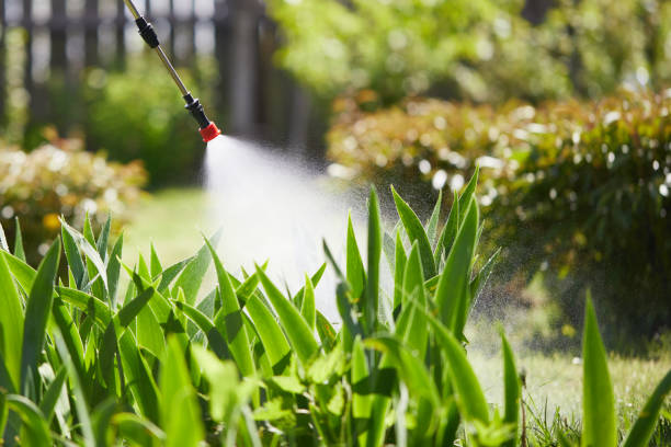24/7 Emergency Wasp Removal experts in Kingsford Heights, IN