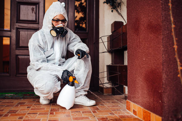 Reliable Wasp Removal contractor in Kingsford Heights, IN by Show Me Pest Control